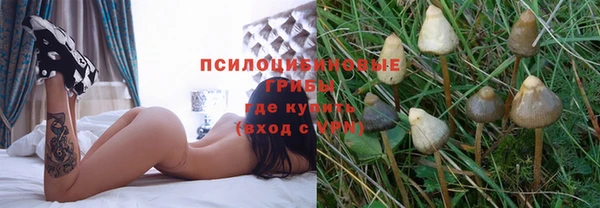 стафф Балахна